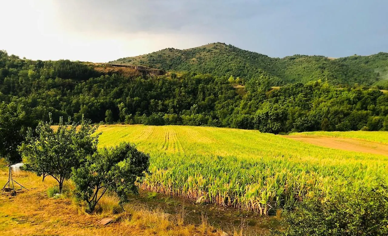 Gite La Petite Voute Blassac 0*,  France